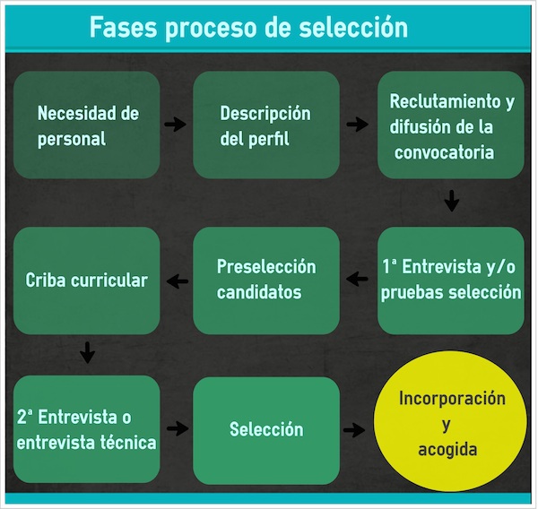 Fases del proceso de seleccion